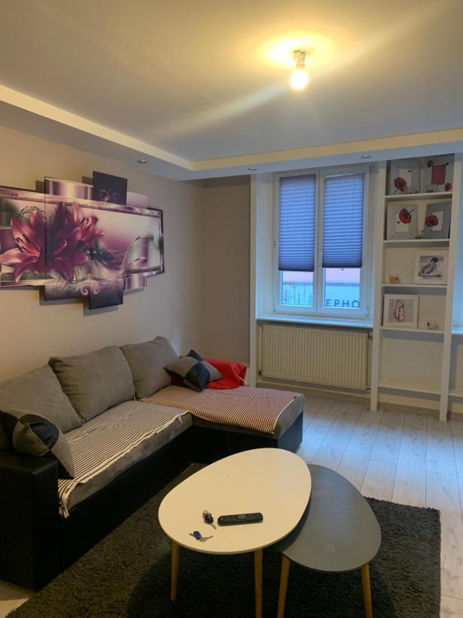 Etoile Apartment กอลมาร์ ภายนอก รูปภาพ